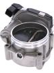 PAT Throttle Body