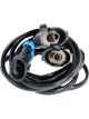 Raceworks LS Early Knock Sensor Conversion Loom
