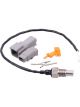 Raceworks Motorsport 1/8In NPT Fluid Temp Flylead Sensor H.Range
