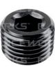Raceworks Npt Plug 1/8In Bulk Pack 20
