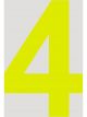 Raceworks 15cm Day Glo Number 4 Cams Approved