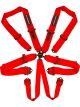 Raceworks Red 6Point Sfi Cam Lock Harness 3In Belts Bolt In Ends