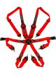 Raceworks Red 6Point Fia Cam Lock Harness Hans 2-3In Belts Snap