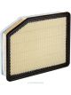 Ryco Air Filter