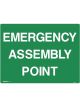 Brady Emergency Information Sign Emergency Assembly Point 450x600mm