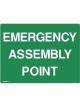 Brady Emergency Information Sign Emergency Assembly Point 450x600mm