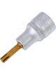 Hazet 1/2in Screwdriver Socket Spline Socket Ribe-CV M6