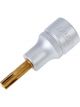 Hazet 1/2in Screwdriver Socket Spline Socket Ribe-CV M7