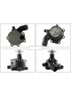 Alcius Water Pump