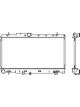 Alcius Radiator