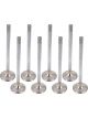 Proflow Maxflow Stainless Valves Fits Holden 1.600in Set of 8