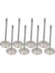Proflow Maxflow Stainless Valves Fits Holden 2.080in Set of 8