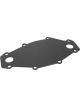 Proflow Water Pump Back Plate Aluminium Fits Holden V8 253 304 308