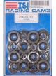 Isky Racing Cams 10 Deg Chrome Lightweight Steel Retainer 1.165in