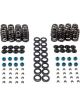 Melling Mellings Beehive Valve Spring Kit Fits GEN 4 Hemi 1.2