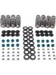 Melling Mellings Beehive Valve Spring Kit Fits GEN 4 Hemi 1.3