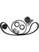 BWS Timing Belt Kit