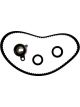 BWS Timing Belt Kit