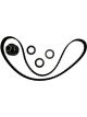 BWS Timing Belt Kit