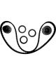 BWS Timing Belt Kit