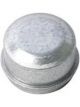 BWS Dust Cap