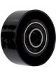 BWS Tensioner Bearing