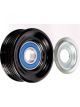 BWS Tensioner Bearing