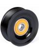 BWS Tensioner Bearing