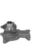 Motorgear Water Pump