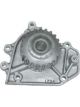 Motorgear Water Pump