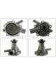 Motorgear Water Pump