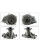 Motorgear Water Pump