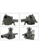Motorgear Water Pump