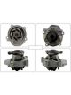 Motorgear Water Pump