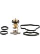 Tridon Thermostat