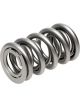 Pac Racing Springs RPM Dual Valve Springs 1.324