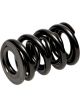 Pac Racing Springs 1200 Dual Valve Springs 1.625