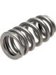 Pac Racing Springs RPM Beehive Valve Springs 1.021