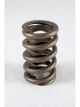 Pac Racing Springs 1900 Single Valve Springs 1.460