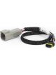 Haltech CAN Adaptor Loom DTM-4 to Molex Mizu-P25 For Holley