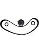 BWS Timing Belt Kit