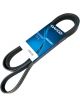 Dayco V-Belt