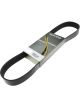 Dayco V-Ribbed Belt