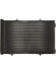 Alcius Condenser Fits Peugeot 207 1.4L 1.6L 07-