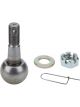 Allstar Performance Ball Joint Stud Minus 0.5in Length Steel Black
