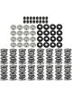 Brian Tooley Racing Platinum Dual Spring LS Kit Titanium