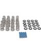Brian Tooley Racing GEN 3 Hemi VVT Lift Spring .650in 09-Up