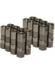 Brian Tooley Racing Delphi LS7 Lifters - 16
