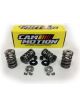 Cam Motion GM LS Dual Valve Spring Kit .660 DIa.