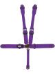 Crow Enterprizes 5-Way L&L 52in Lap Belt- Indiv DB Harness B/I Bl